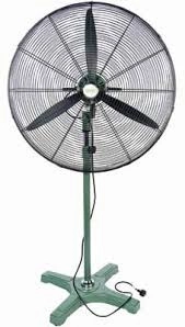Pedestal Fan
